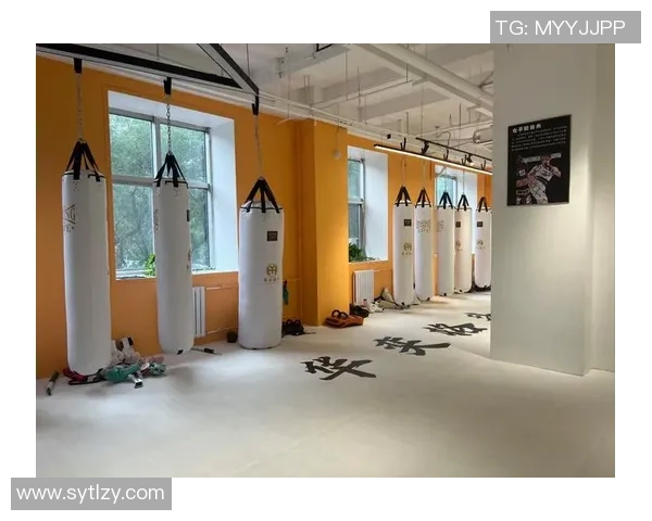 全面提升体能与健康的健身计划打造指南及注意事项