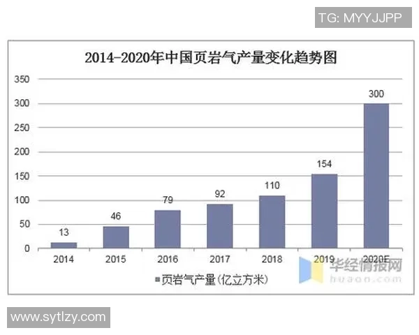 网球运动的技术演进与全球化发展趋势分析